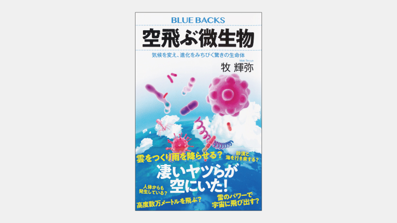 【新書】人が皮膚表面にまとう「微生物マトリクス」とは